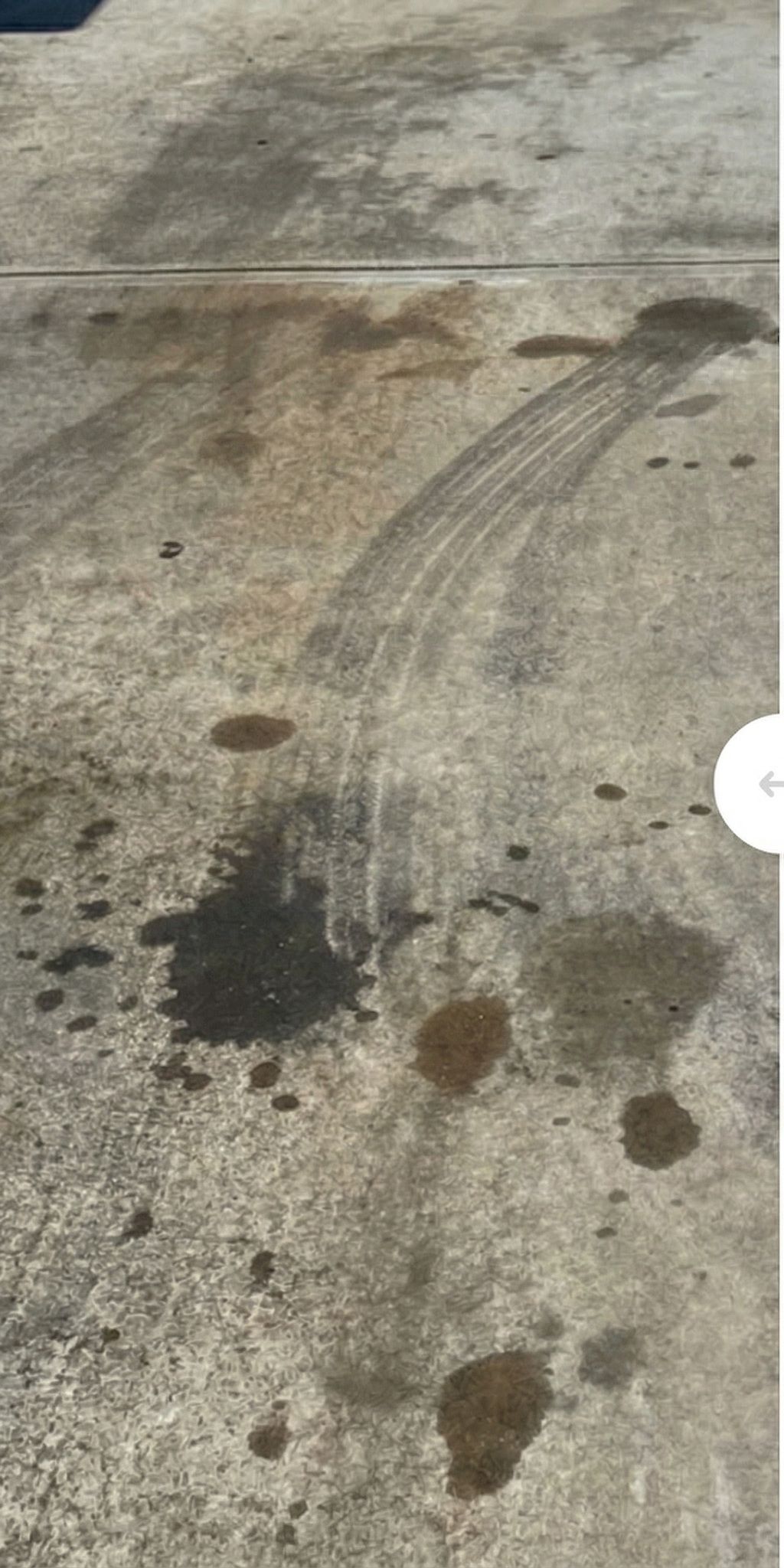 Driveway before cleaning