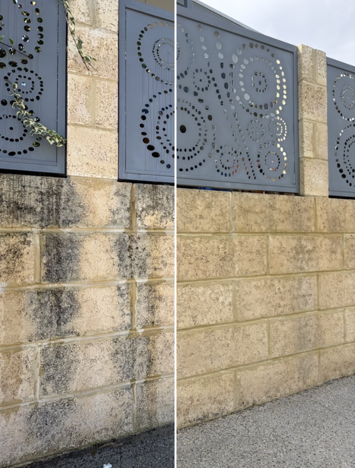 Limestone Boundary Fence before and after pressure cleaning